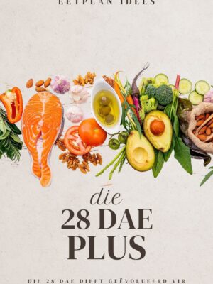 28 DAE PLUS EBOEK
